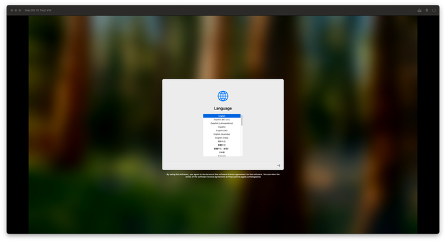 A screenshot of the MacOS 15 setup screen from within the app VirtualBuddy
