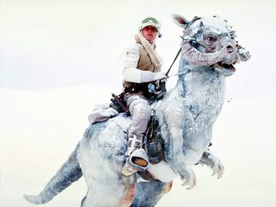 Luke Skywalker on a Tauntaun in The Empire Strikes Back