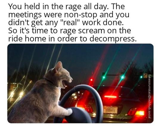 Picture of a yelling cat behind the wheel of a car at night.

Caption: You held in the rage all day. The meetings were non-stop and you didn't get any "real" work done. So it's time to rage scream on the ride home in order to decompress.
