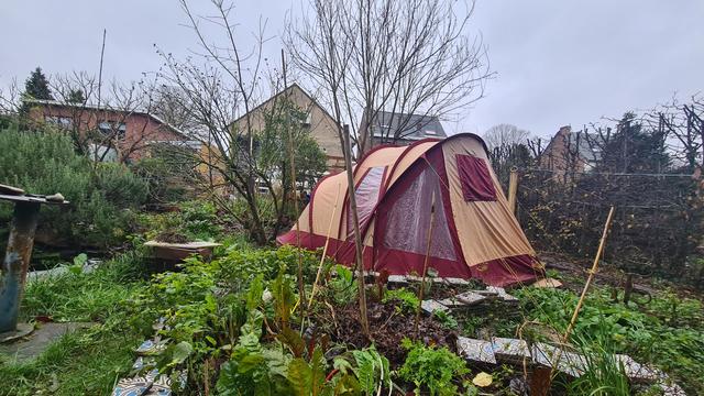 A densely planted garden partitioned by dividers of colorful stacked tiles and small wooden logs. A medium sized tent managed to squeeze itself in there.