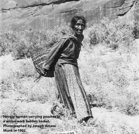 photo - 1902 - Navajo woman carrying peaches in a wickerwork burden basket