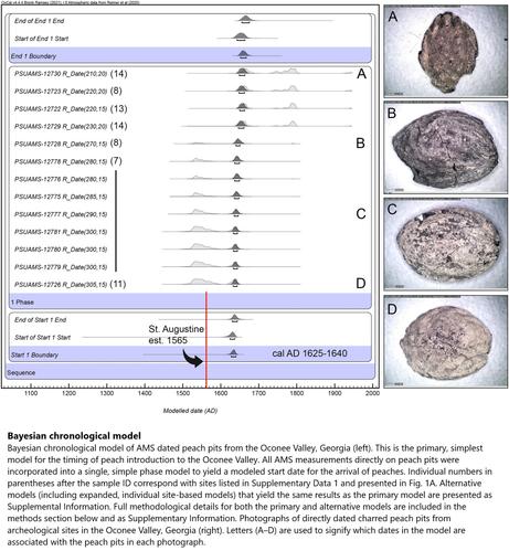 graphic - Bayesian chronological model