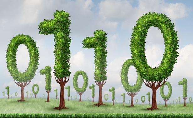 Illustration of trees with the leaves and branches shaped like 1s and 0s (PO-26908-123RF-lightwise_123RF-Fraud_Concept)