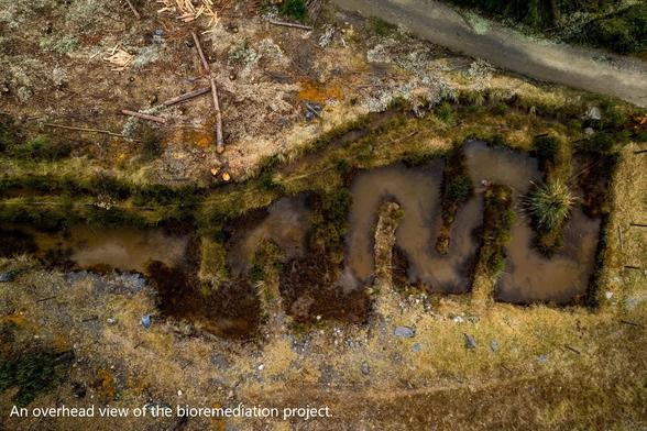 photo - An overhead view of the bioremediation project.
