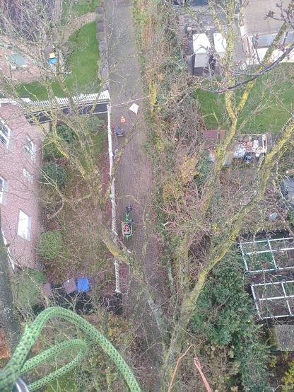 Blick von oben aus einem Baum auf einen Weg. Rechts und links des Weges sind Gärten. Auf dem Weg steht ein Lastenrad.