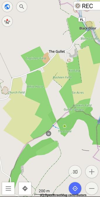 Map showing fields and other features in the townlands of Ballylarkin