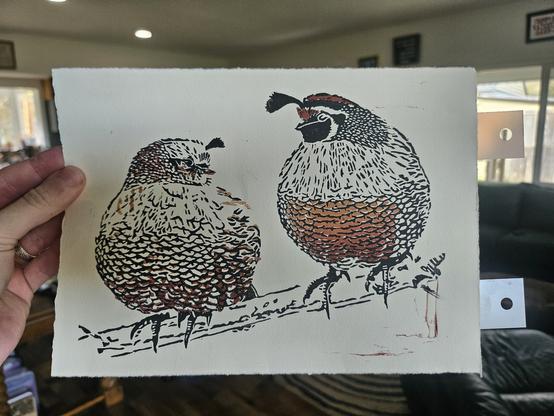 a block print of two extremely round quails on a branch. most of the detail is black ink, and there's a light brown gradient layer adding color to their tummies and heads. registration tabs still stick out the right side of the print because Lee was too excited about finishing it to take them off first