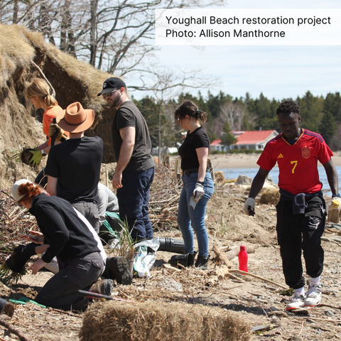 Six people are working on a beach embankment with blue water and houses behind.