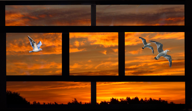 Sonnenaufgang mit 3 Vögeln von innen durchs Fenster zu sehen