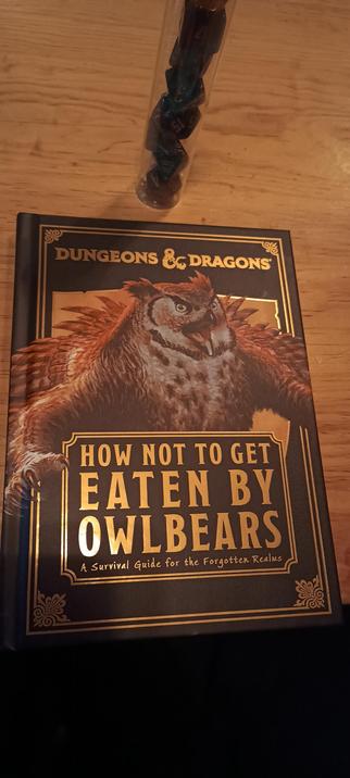 A prize from the raffle at the Galway Game Developers Christmas Party!