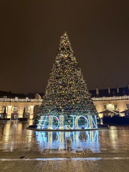 Christmas tree in Dijon
