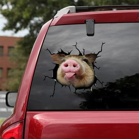 des-stickers-bris-de-parebrise-par-des-animaux-1-cochon