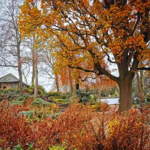 Blick in den Bethmannpark mit warmen Gelb- und Brauntönen, geprägt von einem majestätischen Baum mit goldenem Laub, dahinter ein verwunschen wirkendes Häuschen, umgeben von verwelkten Pflanzen und sanften Stufen, die in die Tiefe führen.