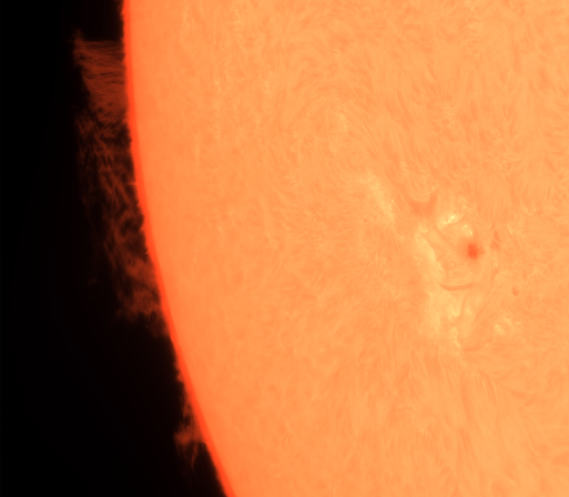 The Sun in H-Alpha light (656.23 nm), 24 august 2024. Prominence (2)

https://astrob.in/yxvdbw/0/

https://telescopius.com/pictures/view/208619/sun/the-sun-in-h-alpha-light-656-23-nm-24-august-2024-/by-simotranquilli

The same prominence after about 4 minutes. Some changes in shape are already visible.

Stack of the best 1500 frames out of 10000

Imaging Telescope: TS-Optics Photoline 102mm f/7 FPL53 Triplet Apo

Imaging Camera: ZWO ASI585MC (Exposure: 5 ms. Gain: 355 Bit depth: 8 bit. Sensor temperature: 46.3 °C)

Mount: Sky-Watcher AZ-EQ6 PRO

Filters:
- DayStar Combo Quark Chromosphere
- Player One S-Series ERF 1.25"
- Player One S-Series UV IR-Cut 1.25"

Accessories:
- Lacerta 3x Tele Extender
- GSO 35 mm extension tube

Software:
- FireCapture
- PlanetarySystemStacker (debayer, alignment and stacking)
- Pixinsight (color curves, deconvolution, multiscale linear transform, fast rotation )
- Operating system: Debian GNU/Linux 12 "Bookworm"