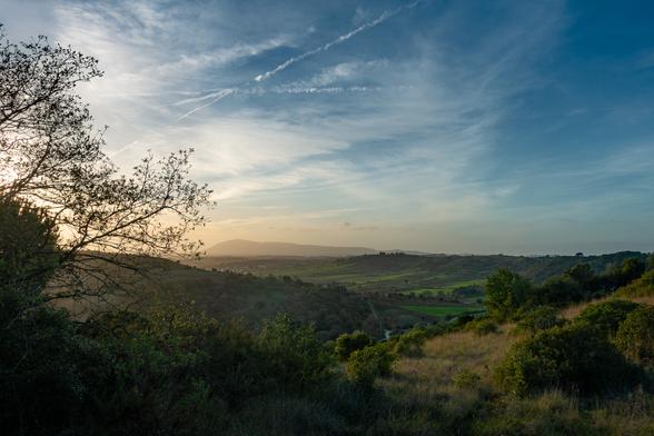looking out from a wooded hill over a rural valley towards the end of day with Montejunto in the distance