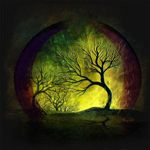 watercolour & ink; dark grey background with silhouettes of bare branched trees curving towards the centre; one tree stands in the foreground on the right - a small group ca be seen in the background; a yellow glow brightens the horizon; 2 large semi-circular curve frame the scene.