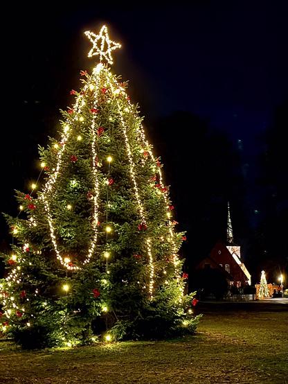 Illuminated Christmas tree at night, a church in the background.