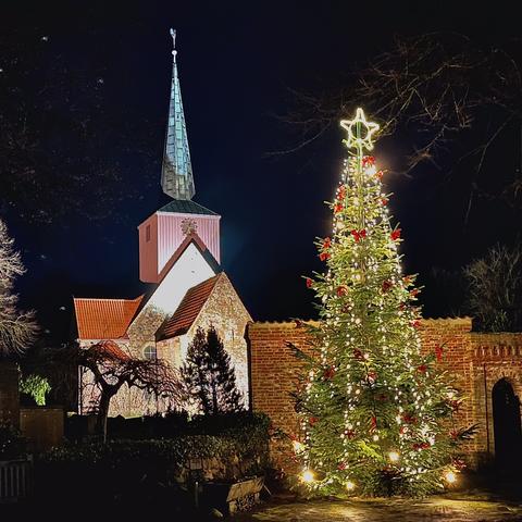 A church (Dionysiuskirche) at night, an illuminated Christmas tree in the foreground. Shot in Debstedt, Germany, a small village close to Bremerhaven.