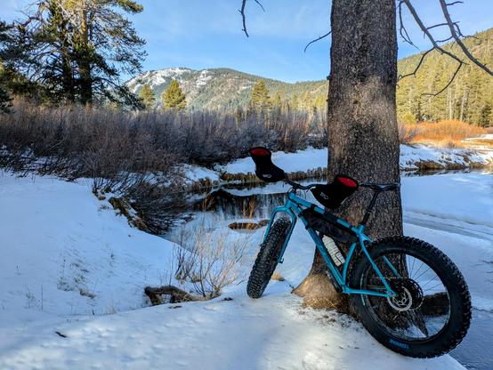 Bike leaning against a tree by a creek in the snow.