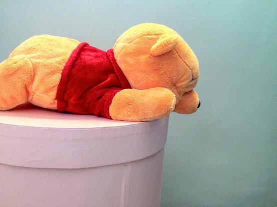 Oset de peluix estirat mirant cap avall