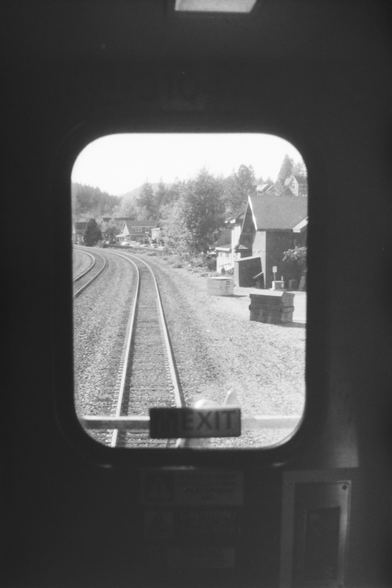 View out the window in the door of the last car on a train.  You can see tracks going into the distance, some pines, and a wooden railroady building.