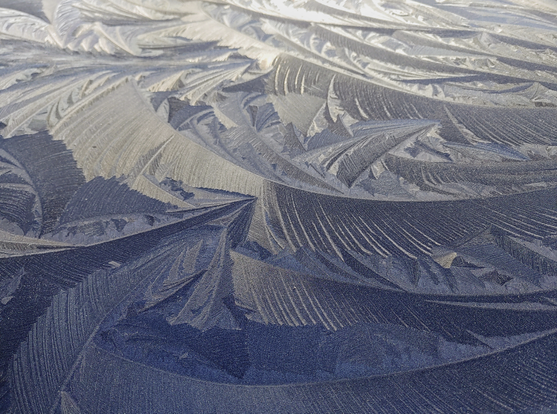 Photo of a neighbour's car roof