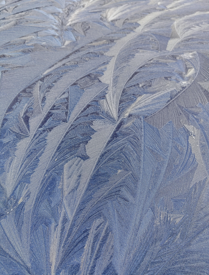 Waves of icy leafs built up harsh shapes. I understand the term "fernfrost" now. It still looks organic, but not as symmetrical as the German term "ice flower"