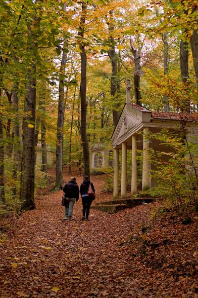 Un paseo en otoño / A stroll in fall