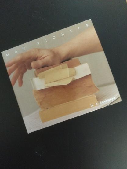 Photo of the CD album cover "In a landscape" by Max Richter showing a hand on a pole of books with some paper sticking out.