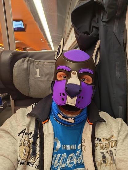 Petplayer with purple hood in a first class seat of a German ICE train