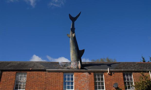 Oxford, Reino Unido - 11 de abril de 2015: El tiburón Headington (Getty Images)
