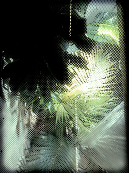 Verde Serra Green Greenhouse