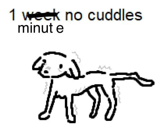 Dog shaking from no cuddles for one minute