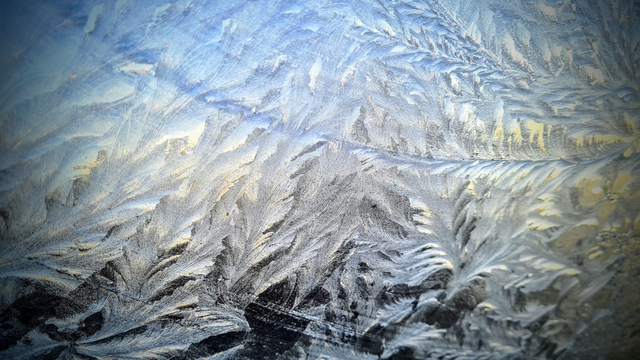 Eisblumen, die fast aussehen wie Eichenblätter, auf einer Fensterscheibe werden vom Morgenlicht sanft von Außen durchleuchtet.