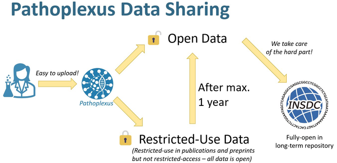 A diagram showing how data moves to and through Pathoplexus. Users upload sequences to Pathoplexus, which is straightforward and easy. They can select to make the data open, wherein it's available immediately on Pathoplexus and passed on to INSDC-member databases straight away. Or they can make data 'Restricted-use' for up to one year. While Restricted-Use it's only available on Pathoplexus. Once it becomes Open (after max. one 1 year, or sooner if the submitter chooses), it is also sent up to INSDC-member databases. Pathoplexus takes care of all the submission to INSDC.