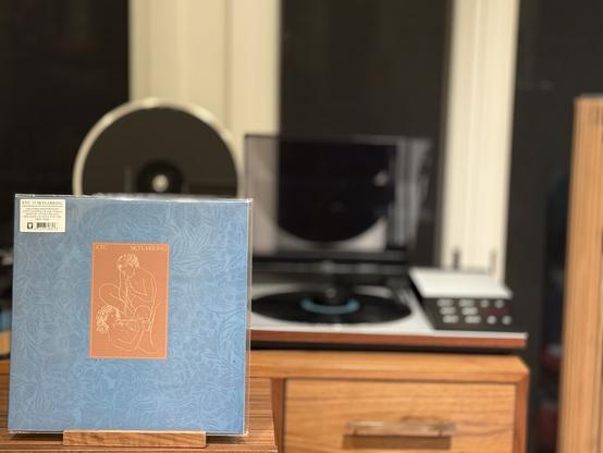XTC - Skylarking LP cover.

On a green, fake woven paper background, a center image of a man and woman playing the flute.

The black LP plays on a vintage, restored Bang & Olufsen Beogram 8002 linear-tracking turntable to the right.