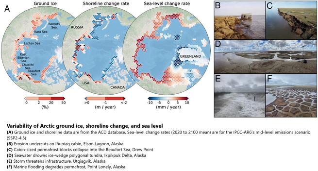 maps and (example) photos - Variability of Arctic ground ice, shoreline change, and sea level. (A) Ground ice and shoreline data are from the ACD database (15). Sea-level change rates (2020 to 2100 mean) are for the IPCC-AR6’s mid-level emissions scenario (SSP2-4.5) (16, 17). (B) Erosion undercuts an Iñupiaq cabin, Elson Lagoon, Alaska. (C) Cabin-sized permafrost blocks collapse into the Beaufort Sea, Drew Point. (D) Seawater drowns ice-wedge polygonal tundra, Ikpikpuk Delta, Alaska. (E) Storm threatens infrastructure, Utqiagvik, Alaska. (F) Marine flooding degrades permafrost, Point Lonely, Alaska...