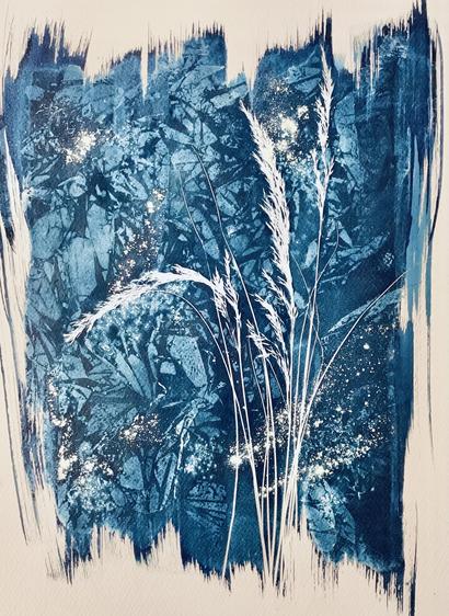 cyanotype art image