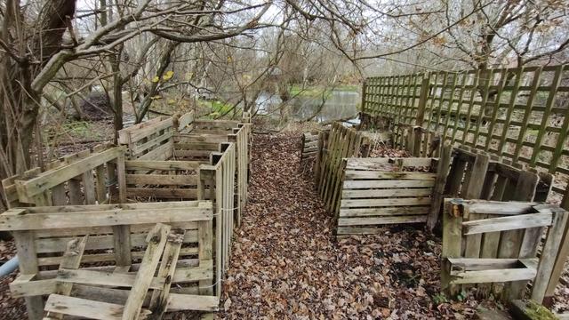 Two rows of compost bins constructed of old pallets. The pallets are half rotted.