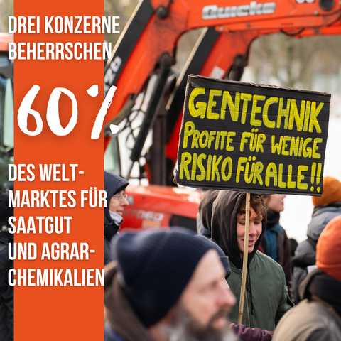 Ein Foto von der Wir haben es satt!-Demo auf dem jemand ein Schild hält: "GENTECHNIK PROFITE FÜR WENIGE RISKO FÜR ALLE!!" Links steht der Text: "Drei Konzerne beherrschen 60% des Weltmarktes für Saatgut und Agrarchemikalien"