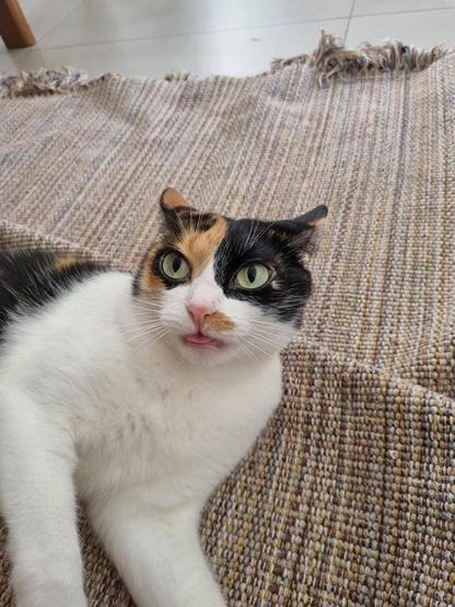 Blep!