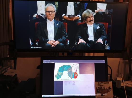 Nobel Prize Ceremony 2024
Ambros & Ruvkun