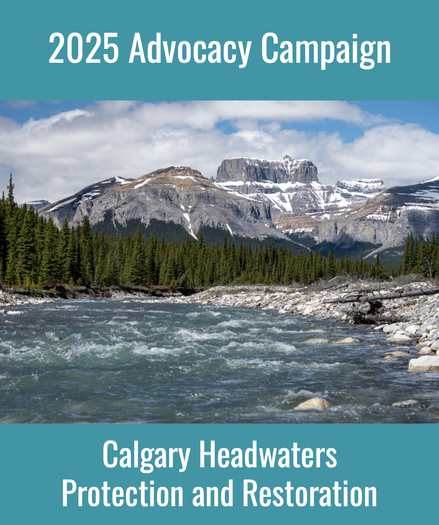 Banner: Calgary Headwater Protection and Restoration - Image: nature/mountain/river scene