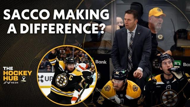 Joe Sacco’s Impact On The Bruins