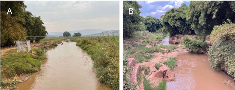 Men extracting sand from two sites in the Nyabugogo River. Fig. 2A: exhibits five men extracting sand from the riverbed, with piles visible at the riverbank awaiting loading into a truck. Fig. 2B: A miner stands on a man-made platform piling sediment into stockpiles

from Bendixen et al (2024) Towards a holistic understanding of artisanal aggregate mining in Rwanda