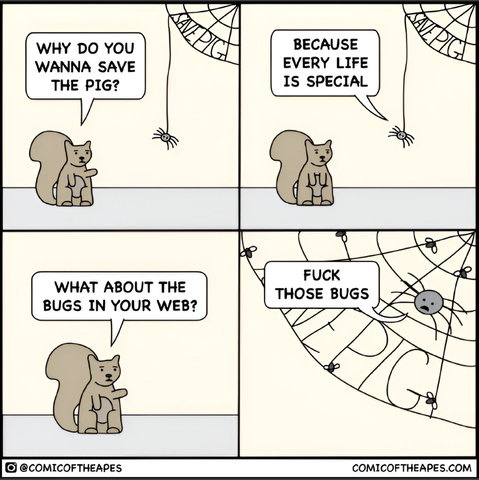 A four panel cartoon from comic of the apes. A squirrel is asking a spider (Charlotte, assumably) "Why do you wanna save the pig?" Spider (hanging from a web which says "SAVE PIG" not "SMART PIG") "Because every life is special." Squirrel, third panel: "What about the bugs in your web?" Spider, last panel, among captured bugs in her web: "Fuck those bugs."