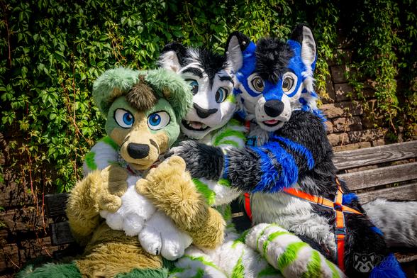 Three fursuiters sit on a wooden bench in front of a brick wall covered in green leafy vines on a warm sunny day. In front, to the left, is a green & earth-toned fox. He is being hugged from behind by a white tiger with green stripes. The fox is hugging on the tiger's arms in return. The tiger himself is being hugged from behind by a white, black & blue dog with a brilliant orange harness. All three are looking happily at the camera.
