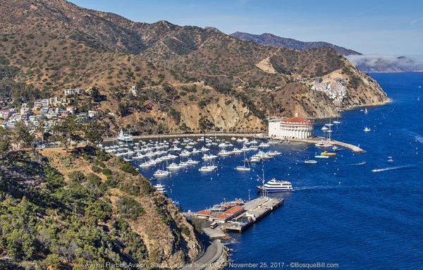 Photo from a height, to the side, of a semi-circular harbor filled with mostly small powerboats; a large cylindrical building with a red tile roof is on the far side and smaller, multi-storied buildings climb the side of the hills that are dotted with semi-arid trees and bushes; the sea is a deep blue; blue sky and a bit of fog in the distance.
©BosqueBill.com