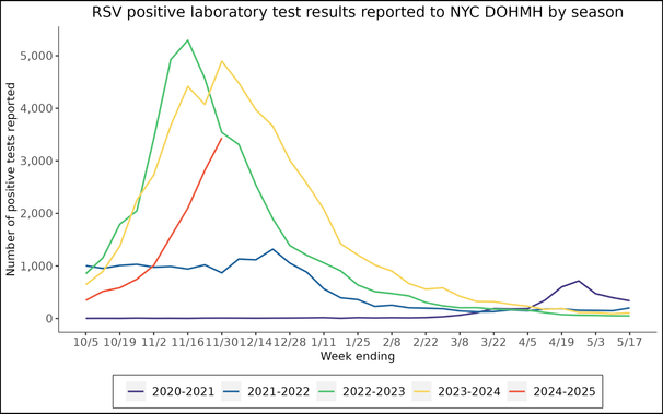 RSV positive laboratory test results reported to NYC DOHM by season
The peak count for previous years, around mid-November 2022 and December 1, 2023, was about 5,000.
The case count for November 30, 2024 was about 3,500.  In 2022 and 2023, cases reached that level in early November.