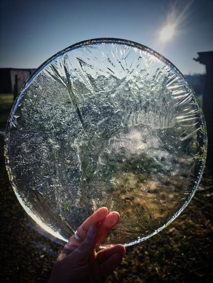 Un cercle de glace récupéré dans un bac d'eau de boisson des volailles mis face au soleil.